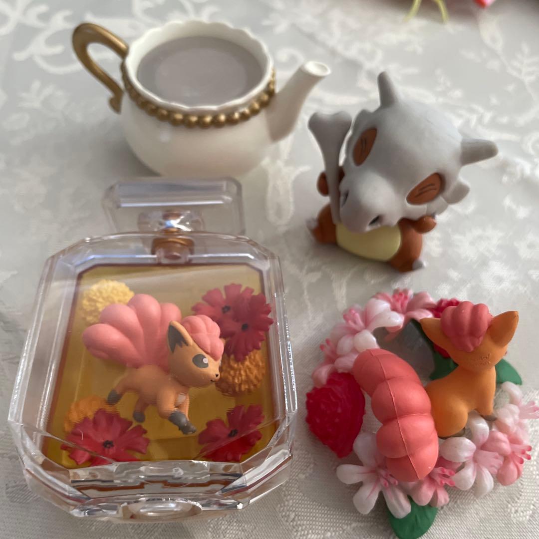 合計11個　ポケモンテラリウム4 +他6個　ブラッキーなし