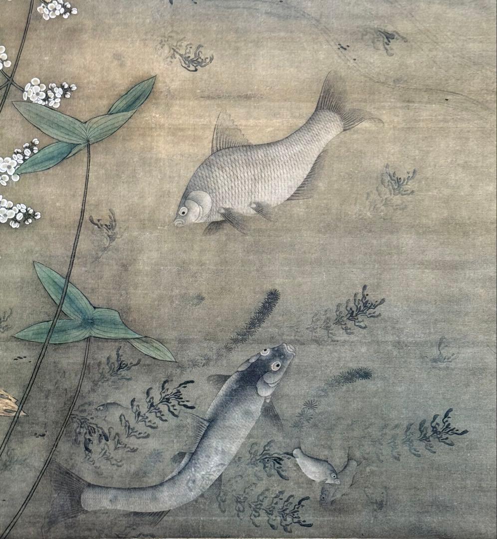 中国 明時代 繆輔 魚藻圖 絹本 原色複製 ◇検故宮博物館◇