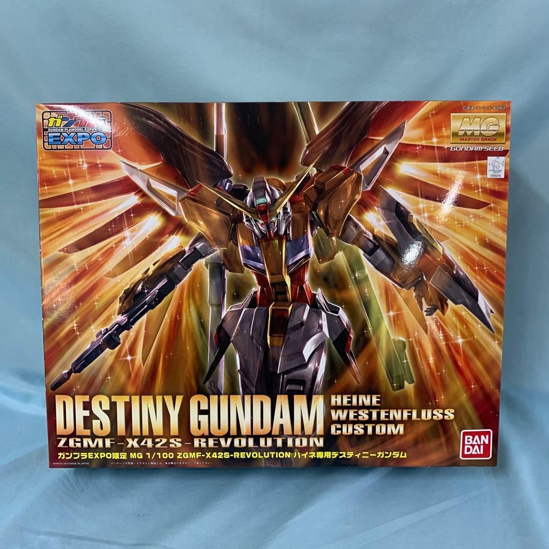 1/100 MG ハイネ専用 デスティニーガンダム(ガンプラEXPO限定)