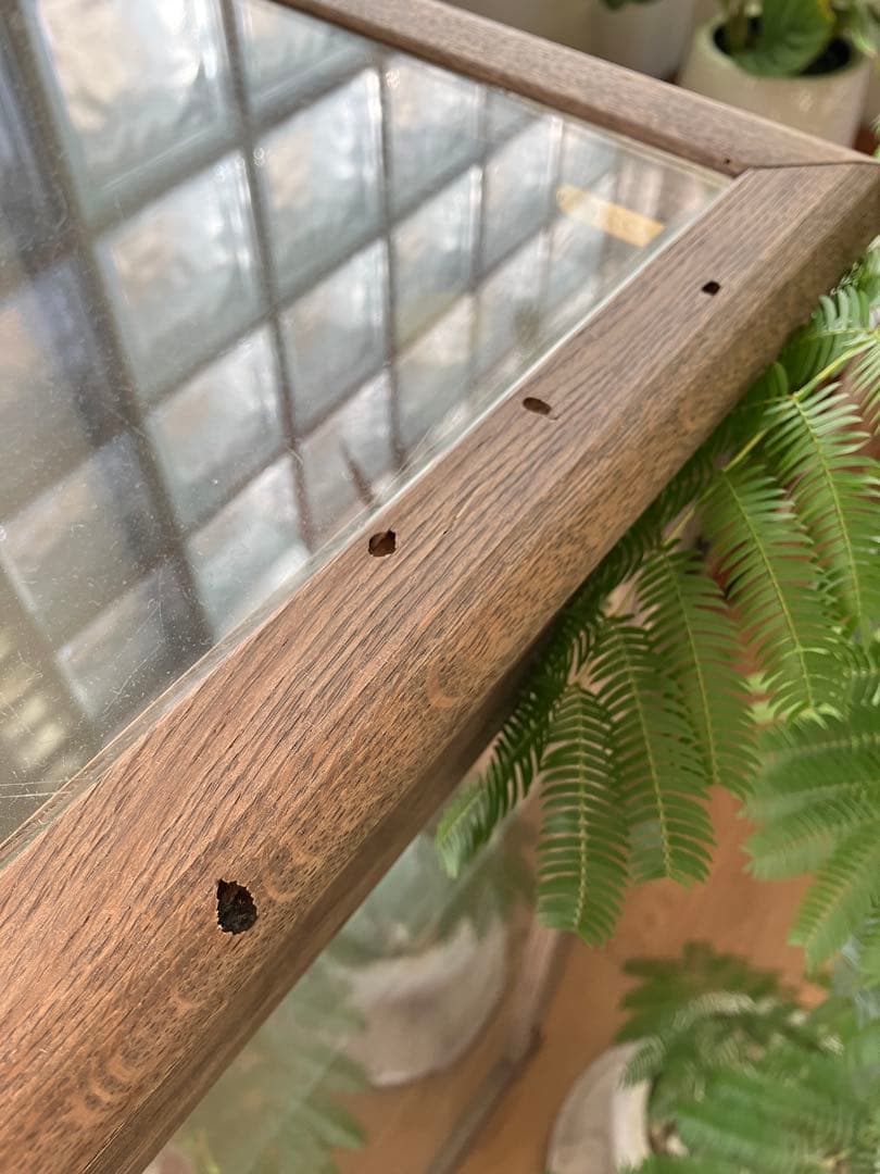 タロスケ様専用】icca イッカ ガラス ショーケース キャビネット