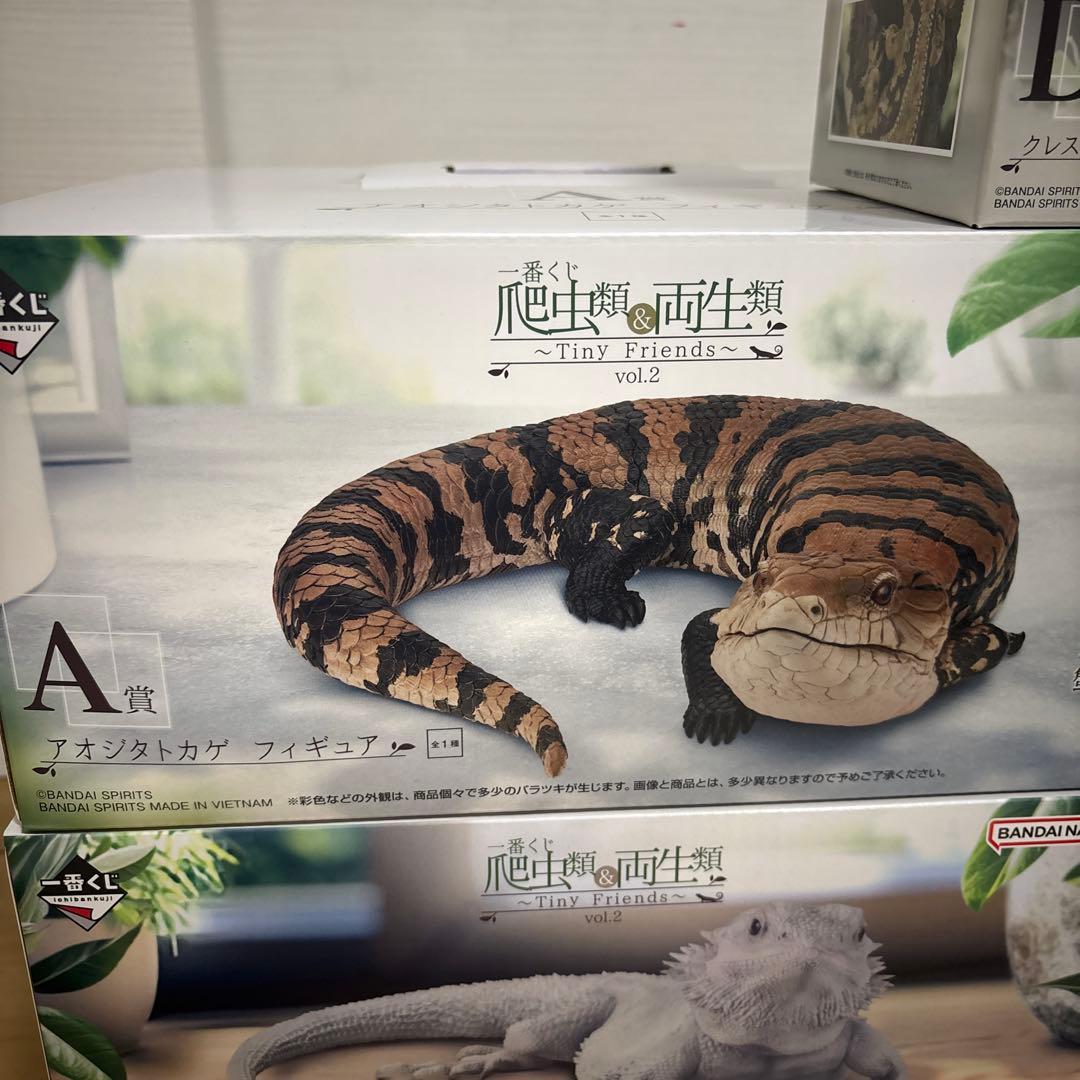 ABCDラストワン　セット