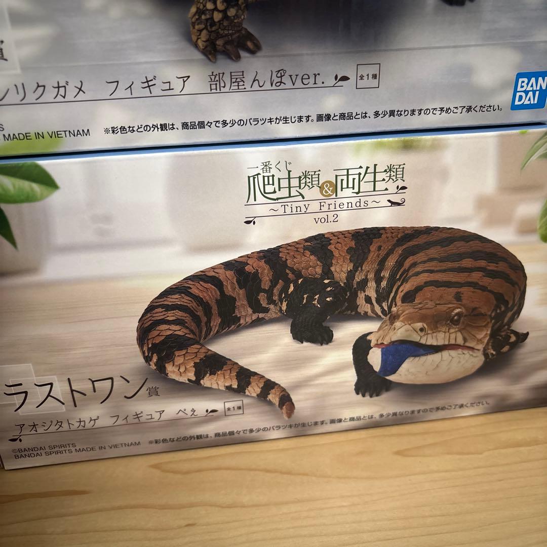 ABCDラストワン　セット