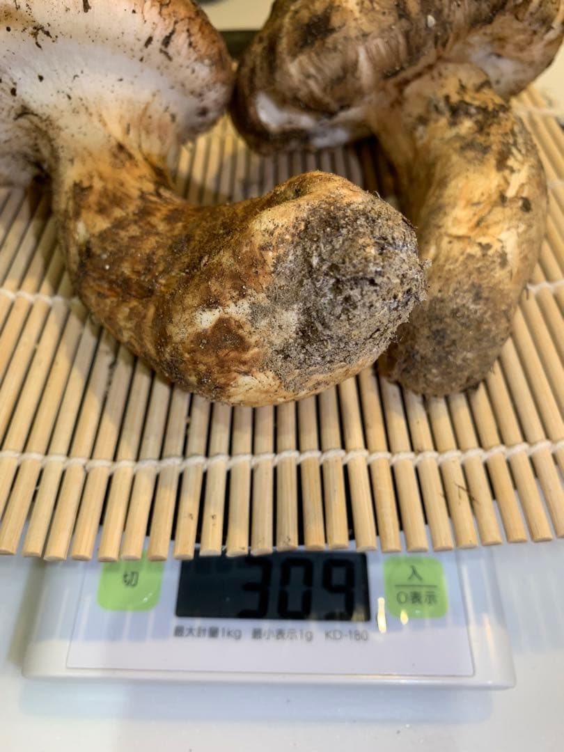 長野県 信州 南信州産 松茸 南信州産 天然松茸 185g 信州南相木産「