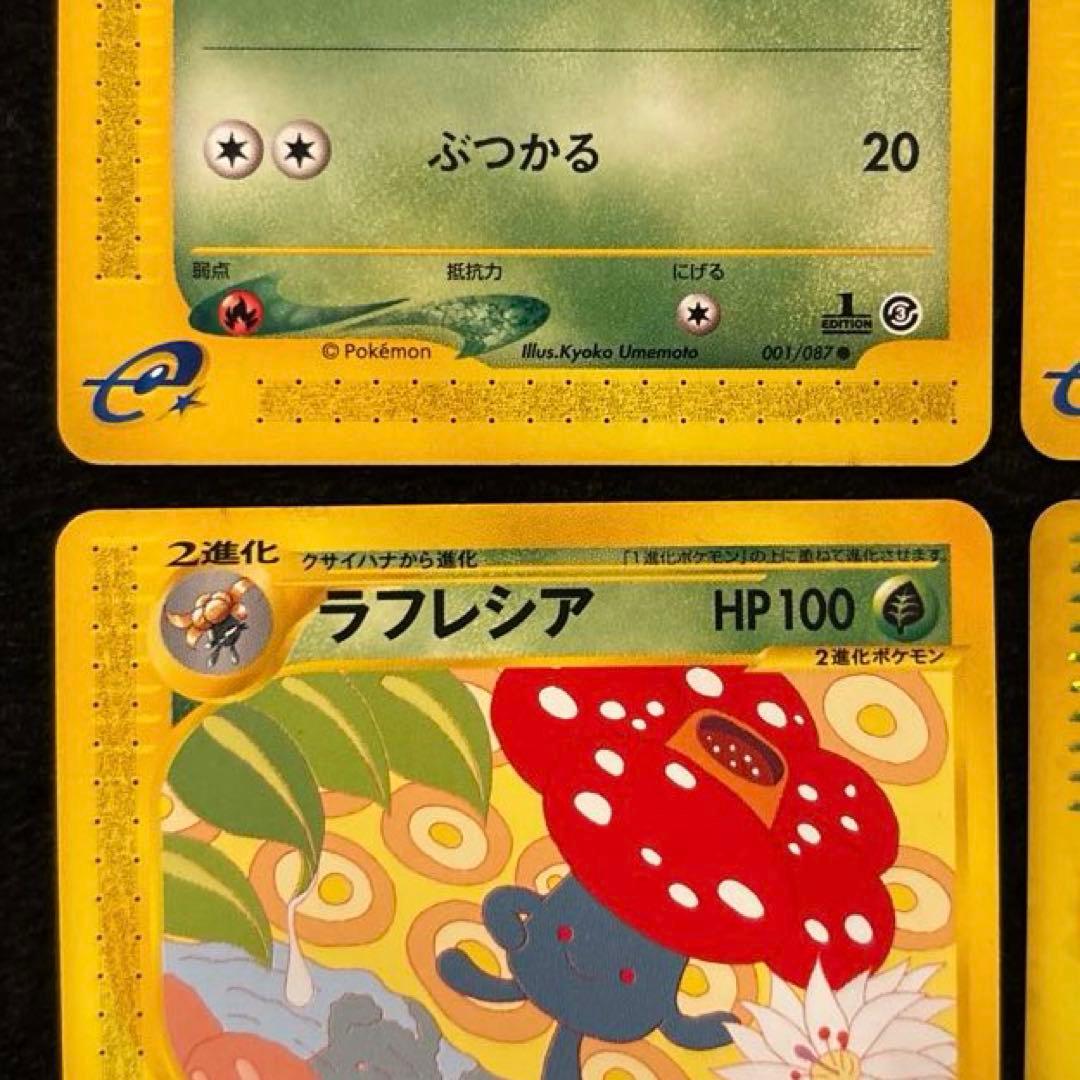 #ゆんの気まぐれオークション　（梅）　ナゾノクサ　クサイハナ　ラフレシア