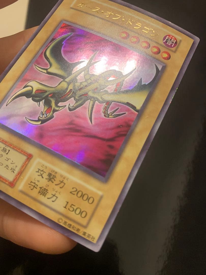 カース・オブ・ドラゴン　確認用