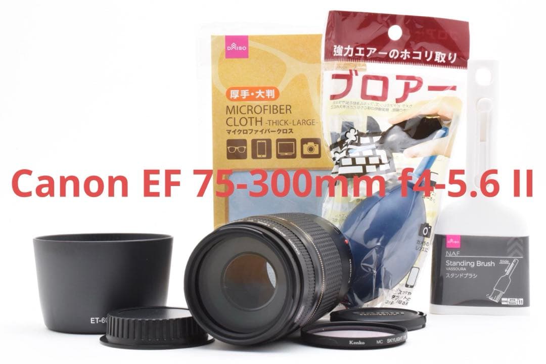 デジタル一眼レフカメラ/人気の望遠レンズ/Canon EF75-300㎜