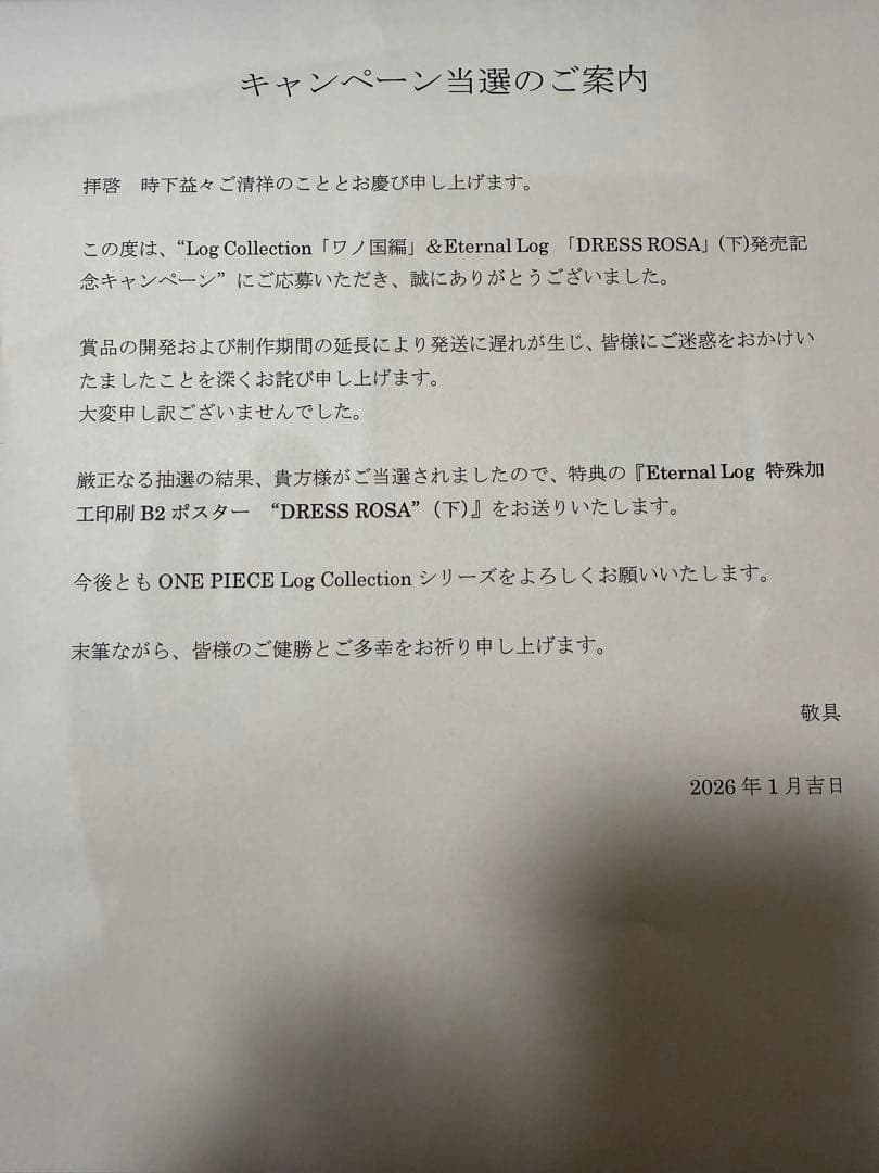 ONE PIECE Eternal Log 特殊加工印刷B2ポスター - メルカリ