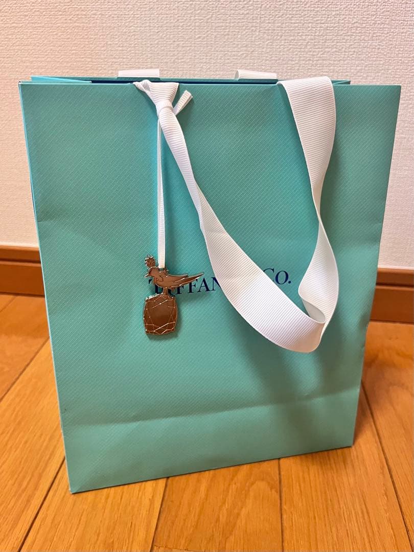 Tiffany ティファニー ネックレスケース＆空箱,りぼん＆チャーム＆紙袋