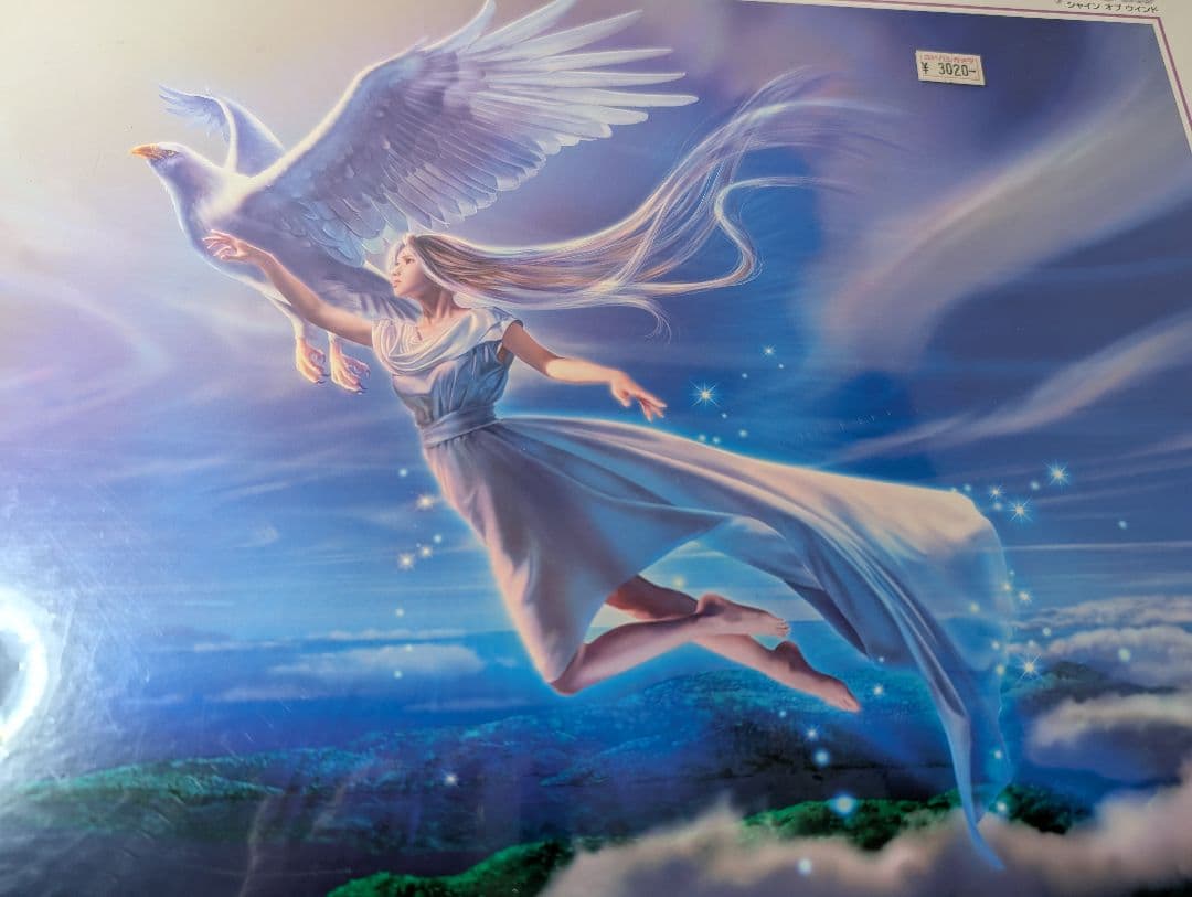 Takaki 1000ピース ジグソーパズル シャイン オブ ウインド