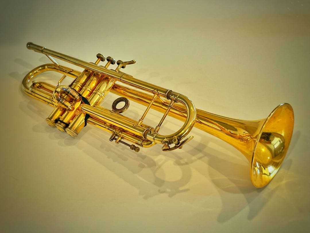 管楽器・吹奏楽器 Bach Stradivarius 180ML GP