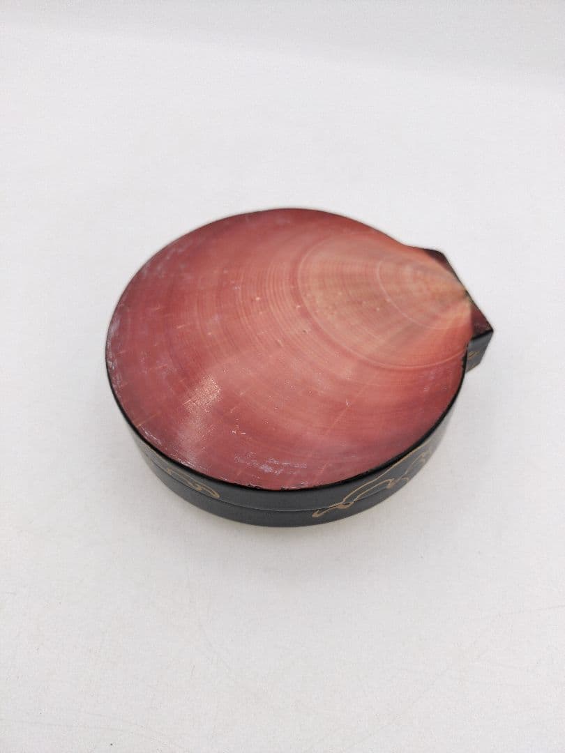 【セール】b806【新品・未使用】香合 月日貝 鈴木光入 玄々好 木箱 茶道具