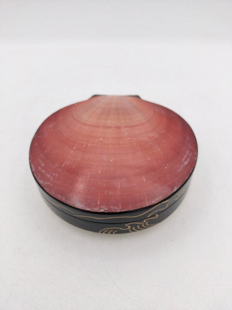 【セール】b806【新品・未使用】香合 月日貝 鈴木光入 玄々好 木箱 茶道具