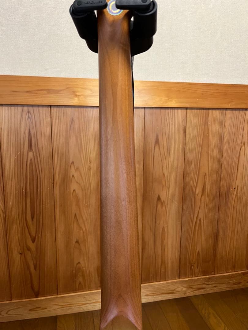 ギター Bacchus BTE-1-RSM SFG