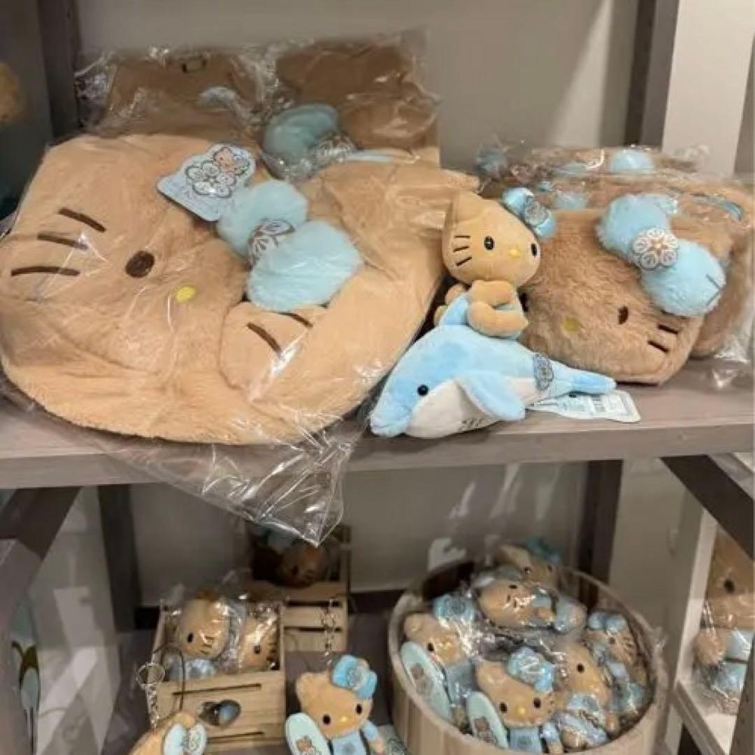 y*♡様 新品未開封　ハワイ カハラホテル限定　日焼けキティ ふわふわポーチ