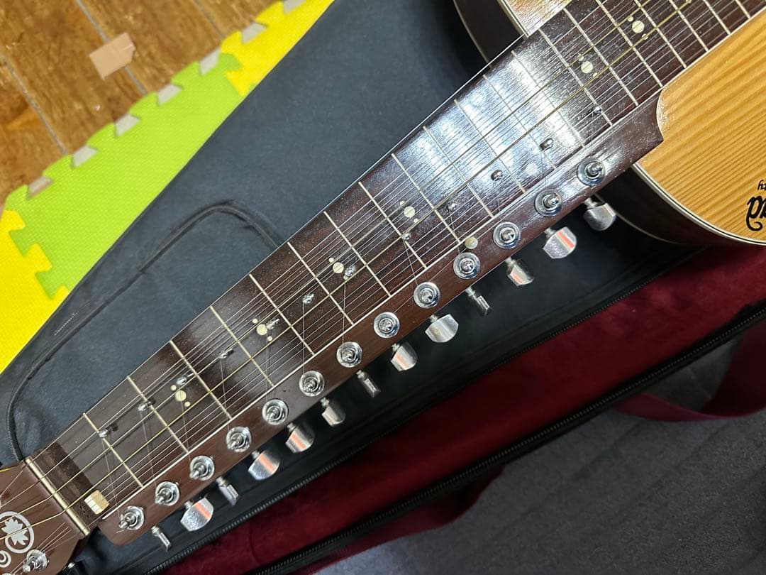 インド楽器 モハーンヴィーナ Mohan Veena アコースティックギター