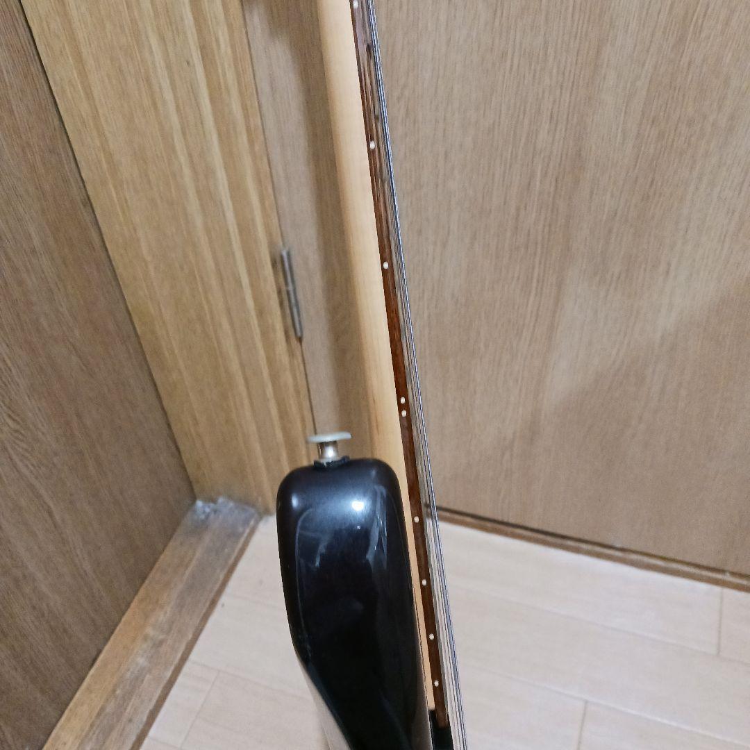 エレキギター＆ギグバッグ