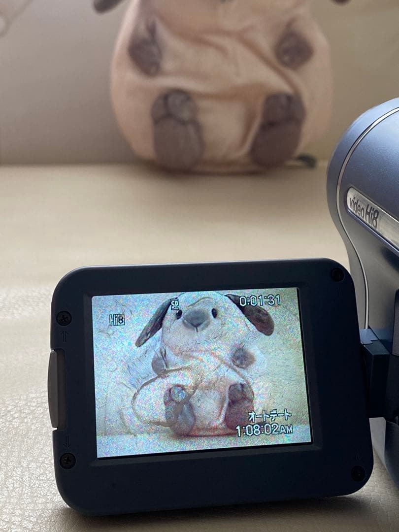 SONY 8ミリビデオカメラ CCD-TRV116 動作確認済み