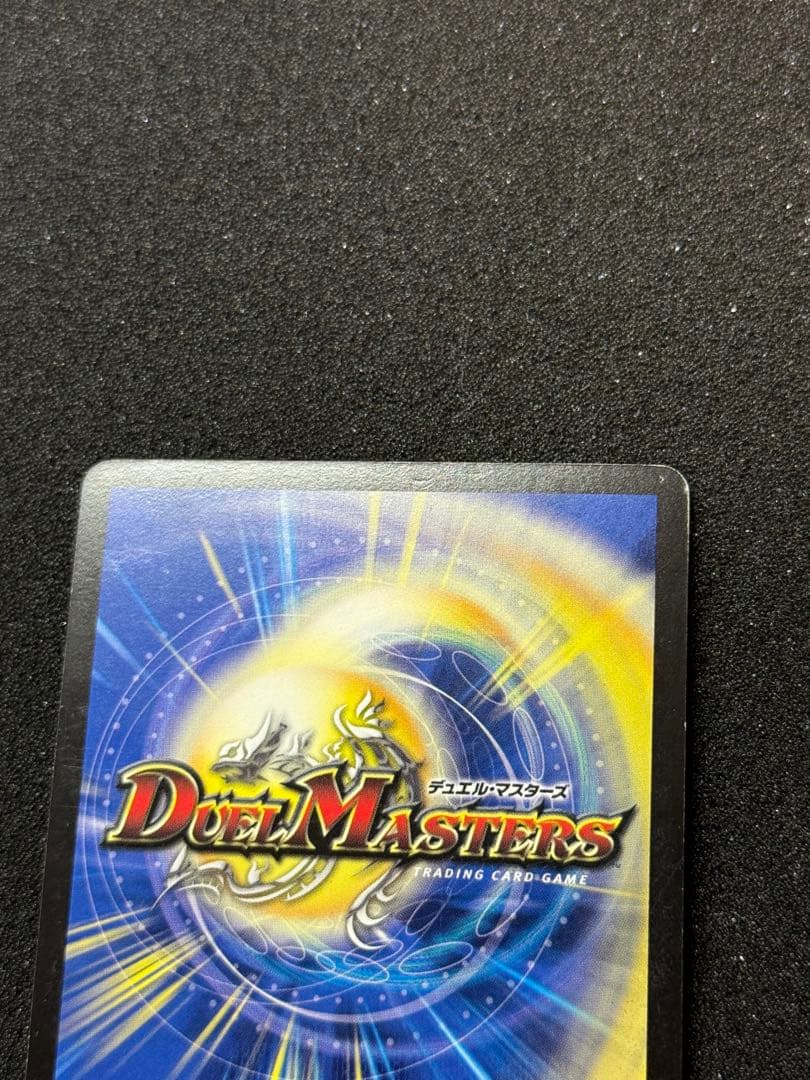 聖鎧亜キング・アルカディアス シークレット シク