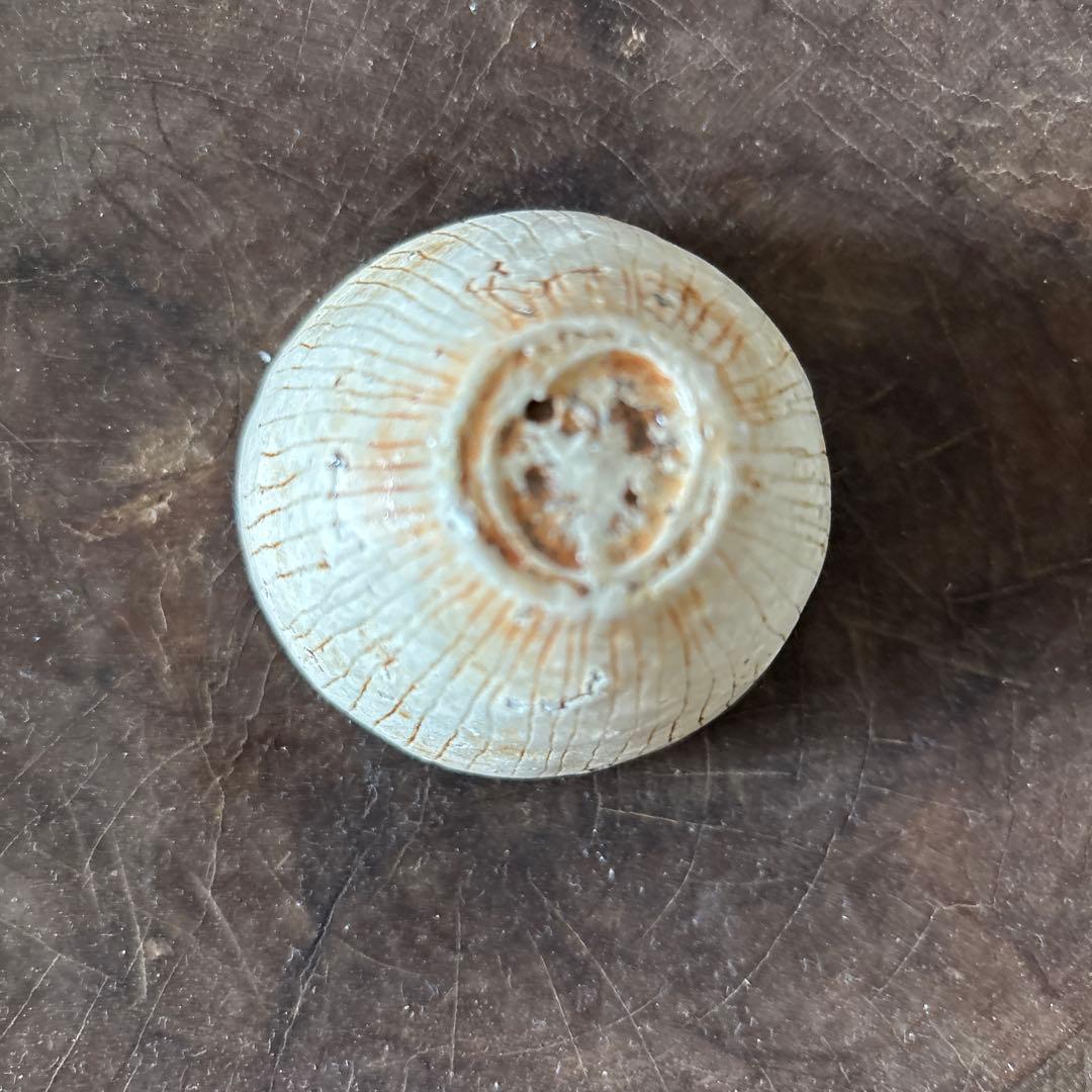 内田鋼一氏作 加彩盃