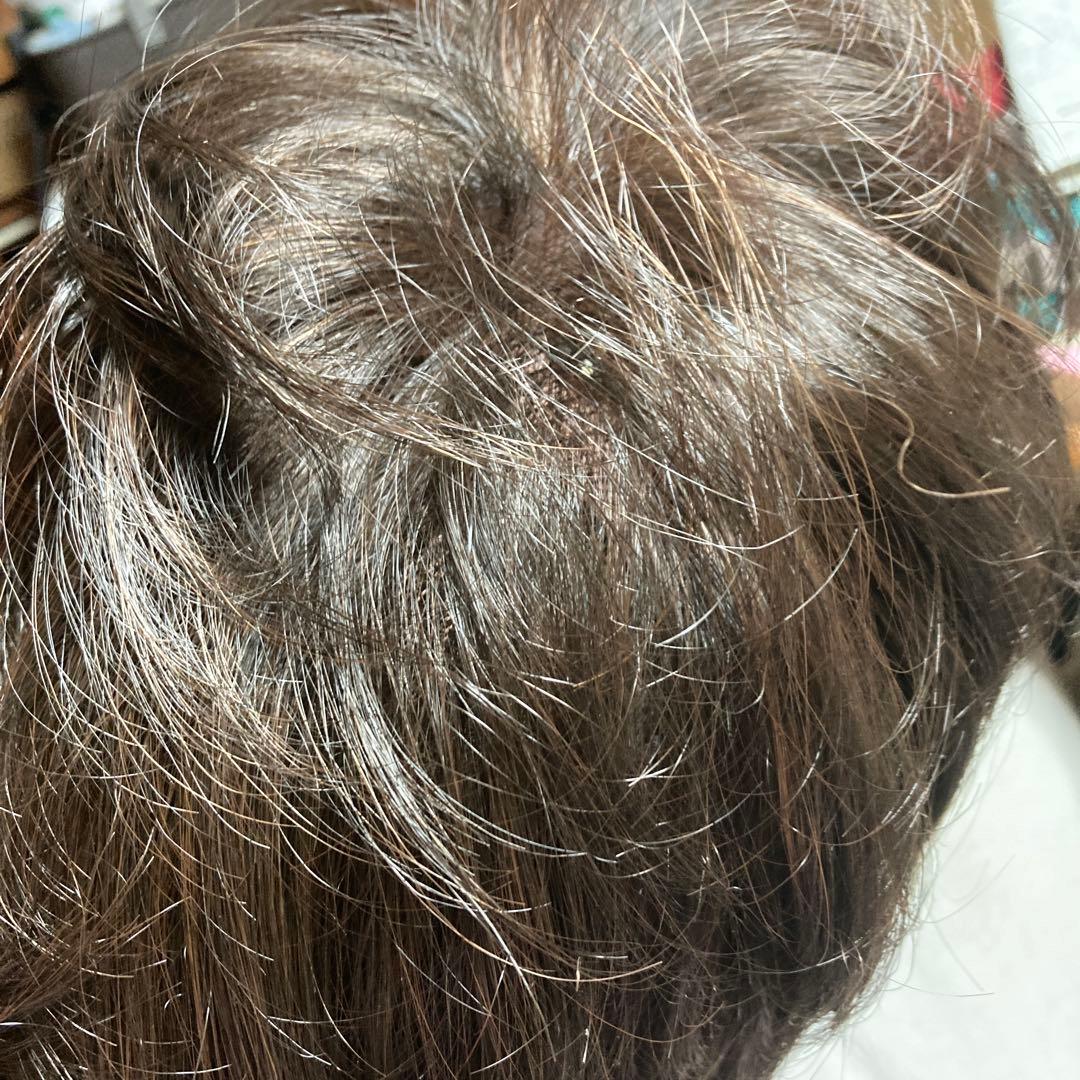 フォンテーヌウイッグ