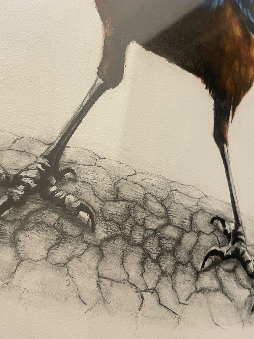 【美品】絵画　青い鳥