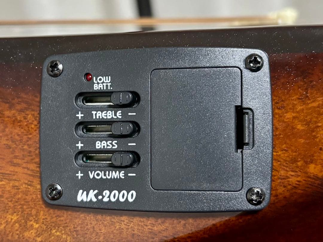 ミニアコースティックギター】 フィリピン Alegra アレグレ【マンゴー材】