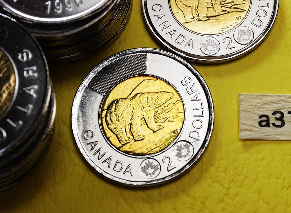 a317 カナダ 2ドル コイン 硬貨 北極熊 エリザベス女王 52枚 まとめて