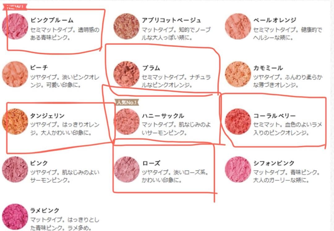 未使用 鏡付き ETVOS ポンポン　ミネラルチーク 6点セット