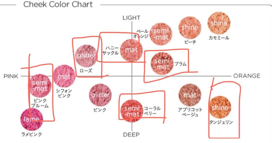 未使用 鏡付き ETVOS ポンポン　ミネラルチーク 6点セット