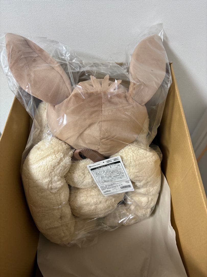 ポケモンセンター ボタンのイーブイリュック ポケセンの輸送箱付