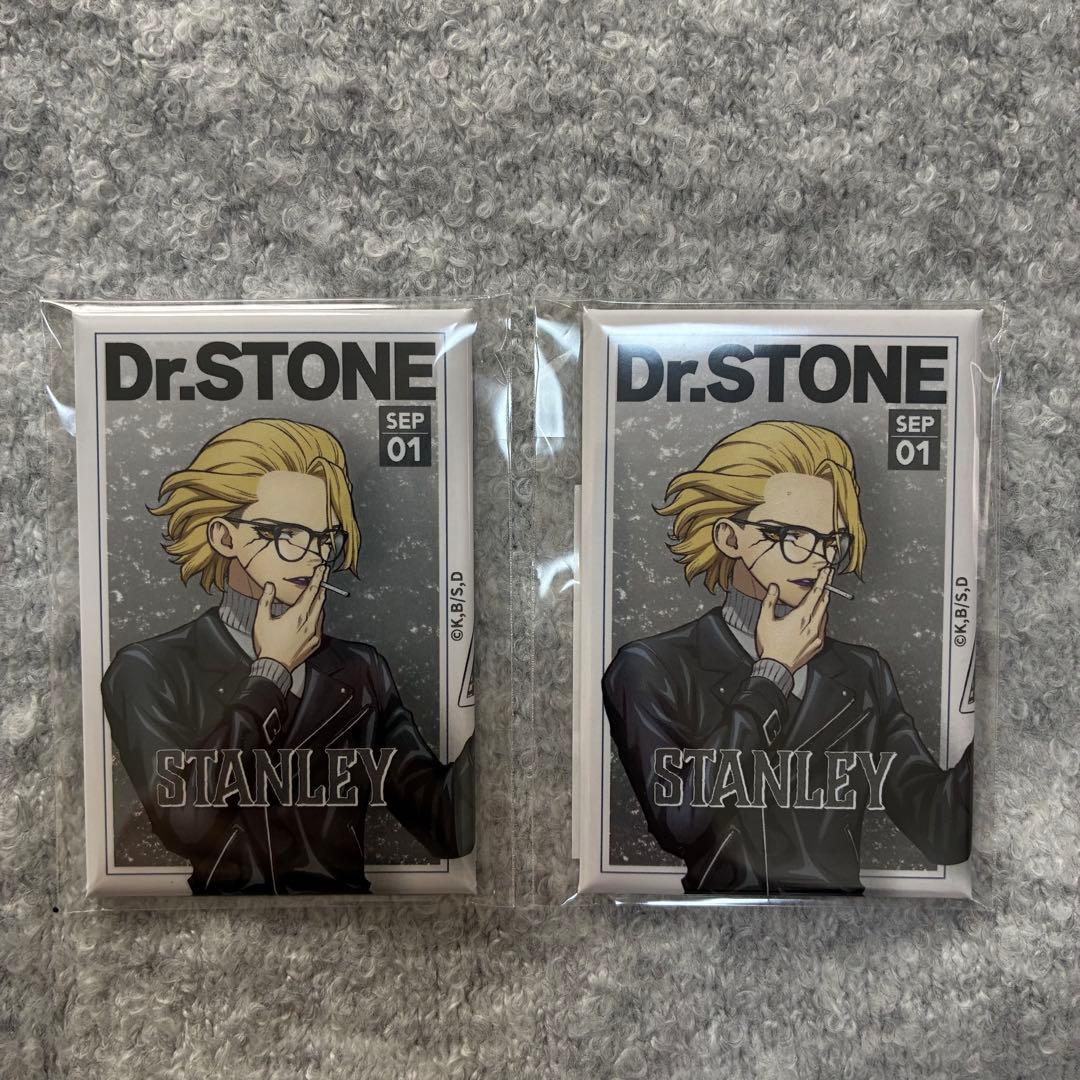 Dr.STONE ドクターストーン オンラインくじ読書の秋 缶バッジ