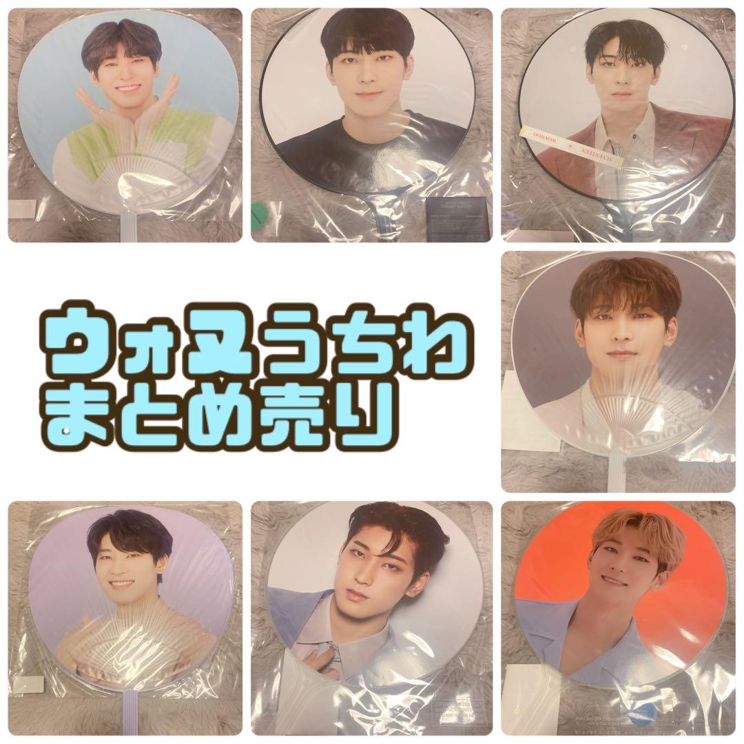 SEVENTEEN ウォヌ うちわ BE THE SUN SEVENTEEN WONWOO World Tour BE
