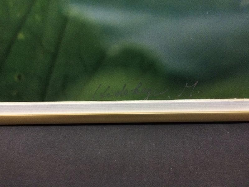 華 / 睡蓮 村山ヒデカズ オリジナルオリジナルプリント 17/3_3