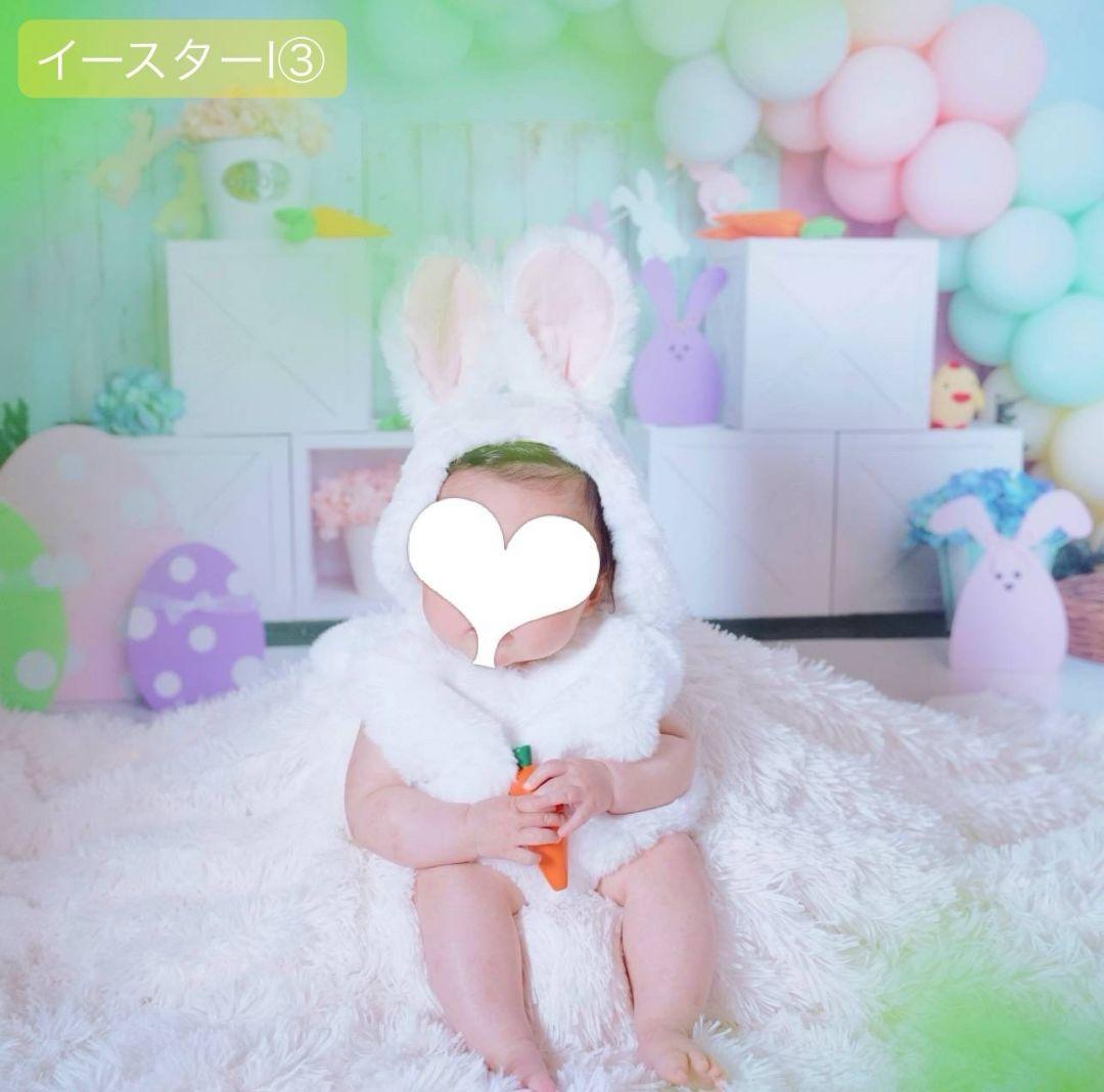 背景布×2枚 ペット撮影用フォトブース トリミングチョーカー販売中 苺