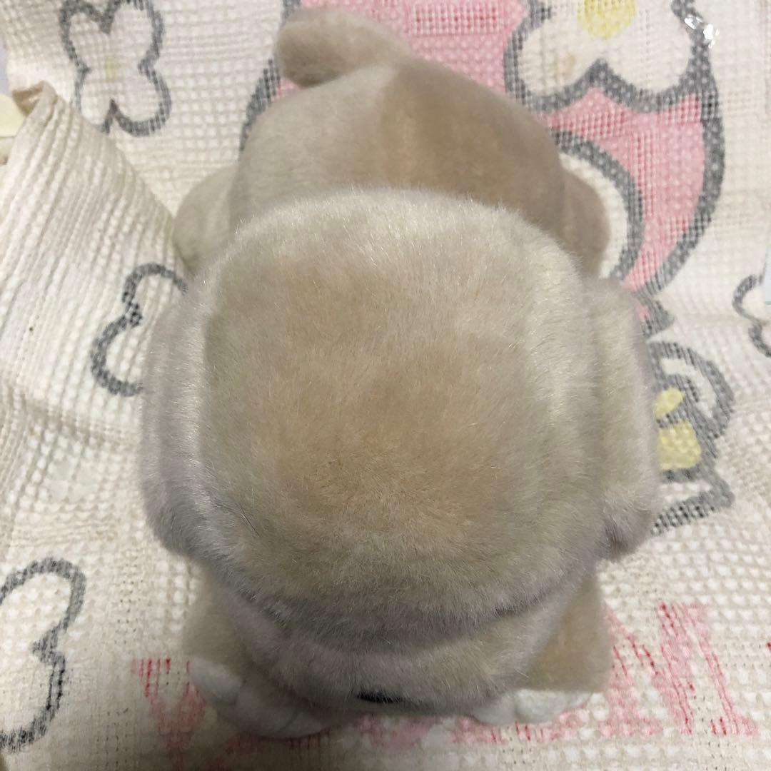 オリエンタルトーイ　うめ吉　寝そべりポーズ　ぬいぐるみ　50cm 紙タグ付