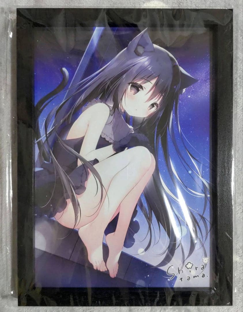 たまこてん2 京都巡回展 星空鉄道とシロの旅 額付 サイン入り