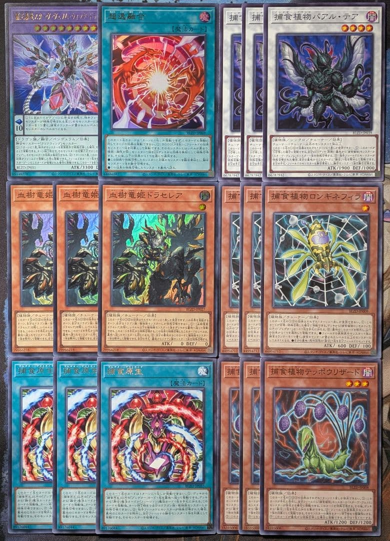 遊戯王 血樹竜姫ドラセレア 超逸融合 捕食植物 ブレイジングドミニオン