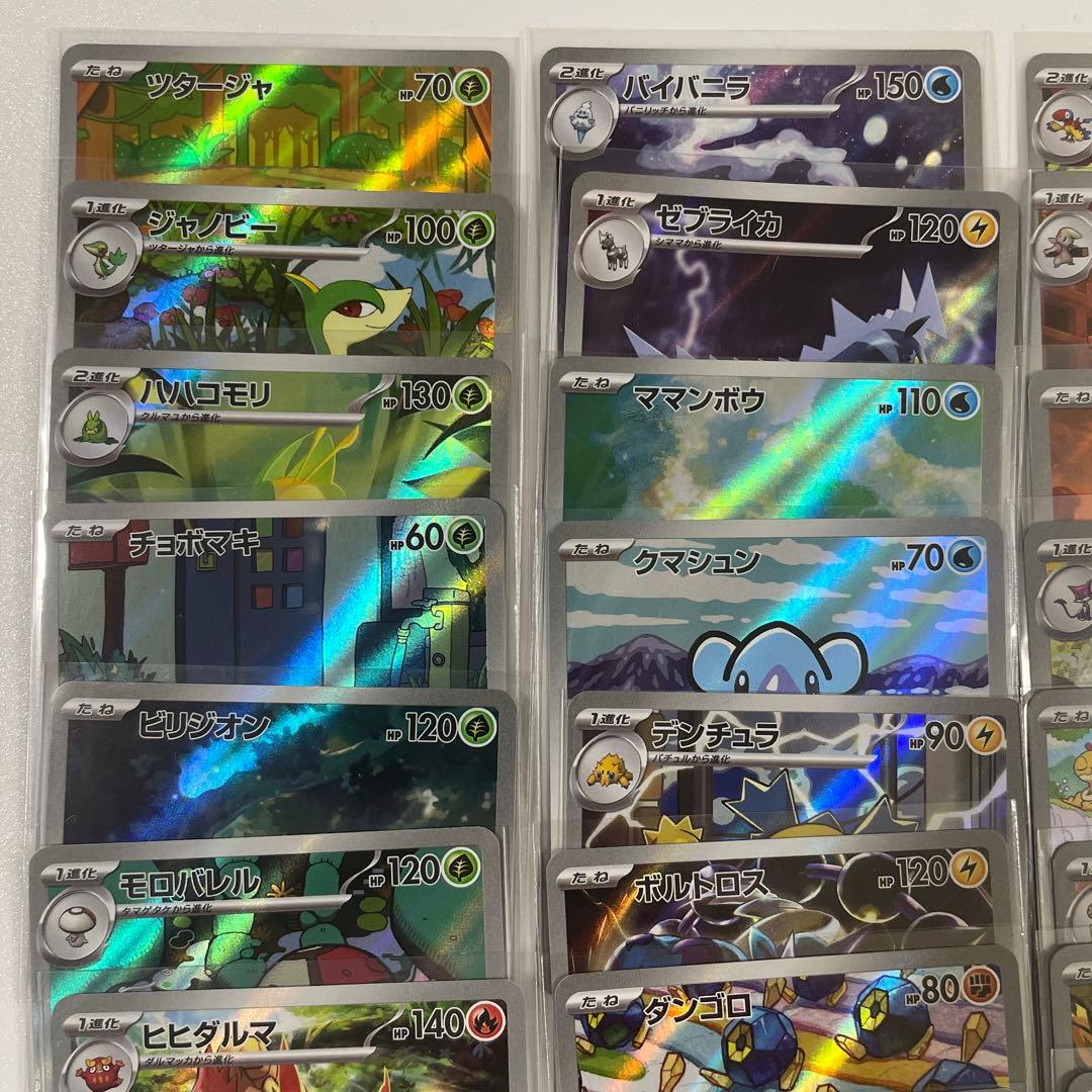 ブラックボルト•ホワイトフレア AR 40枚