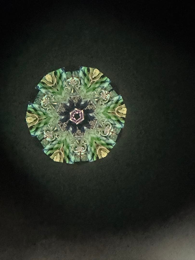 シェリーナップ　カレイドスコープ　万華鏡　レア