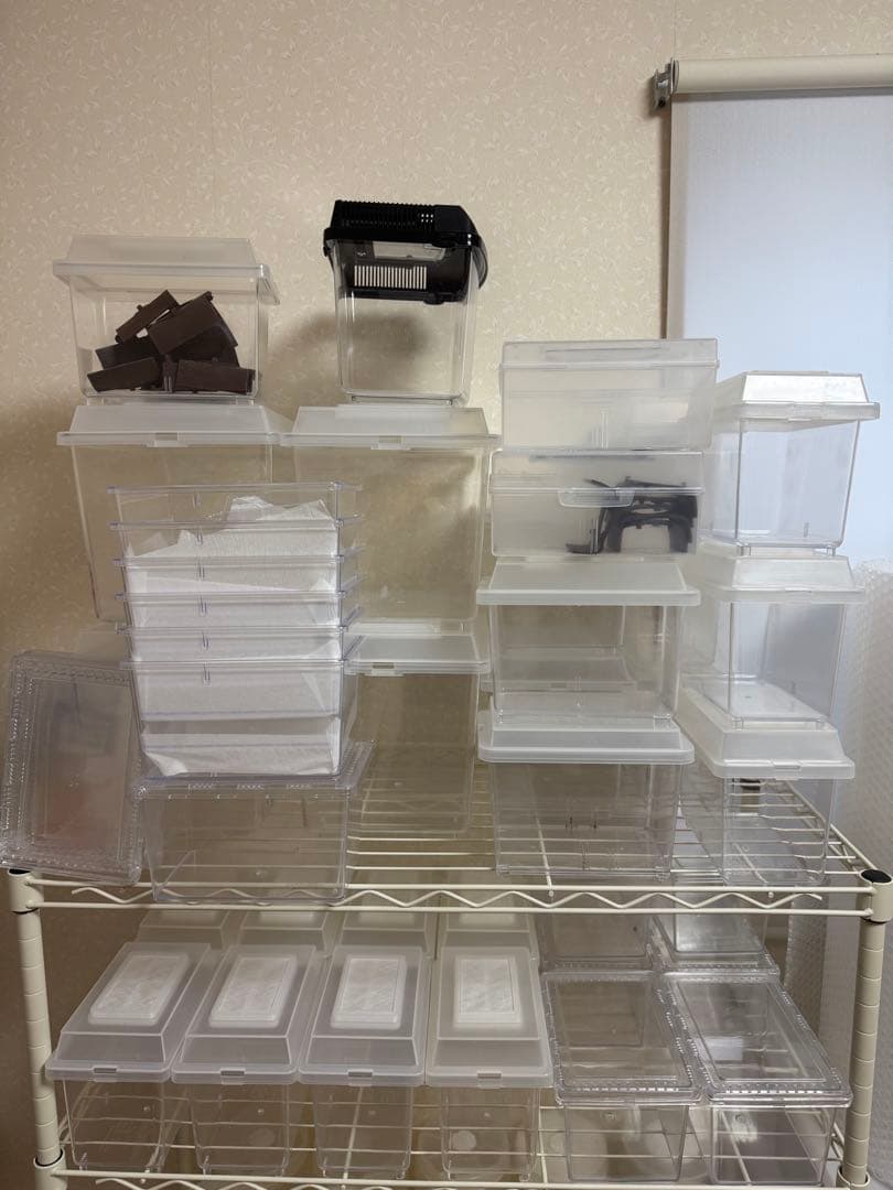 コバエシャッター、クリアスライダー等　39個 新品あり　ゼリー受け皿付き