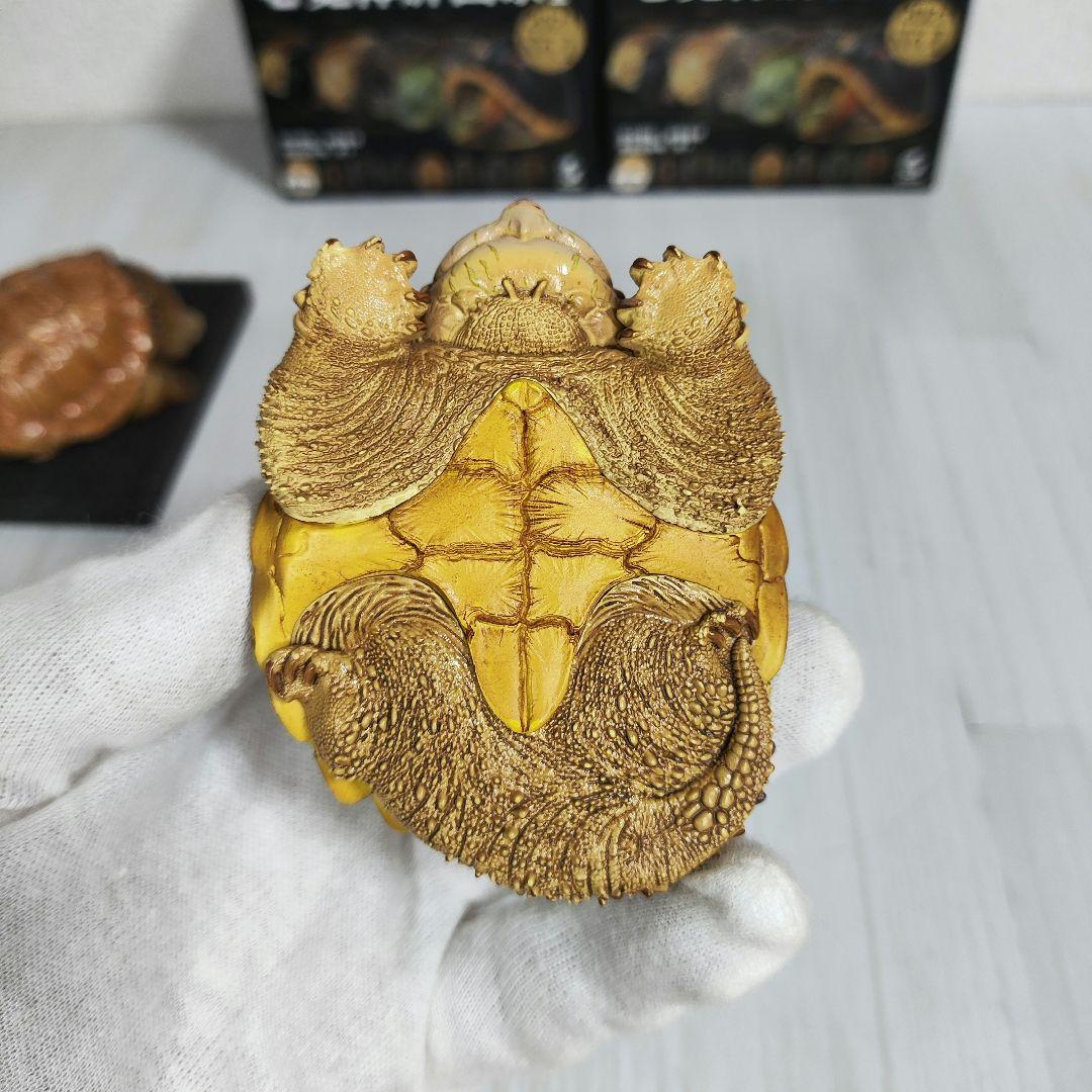 動物の惑星】激レア第1弾亀廃盤品ワニガメ+カミツキガメ!! フィギュア 【