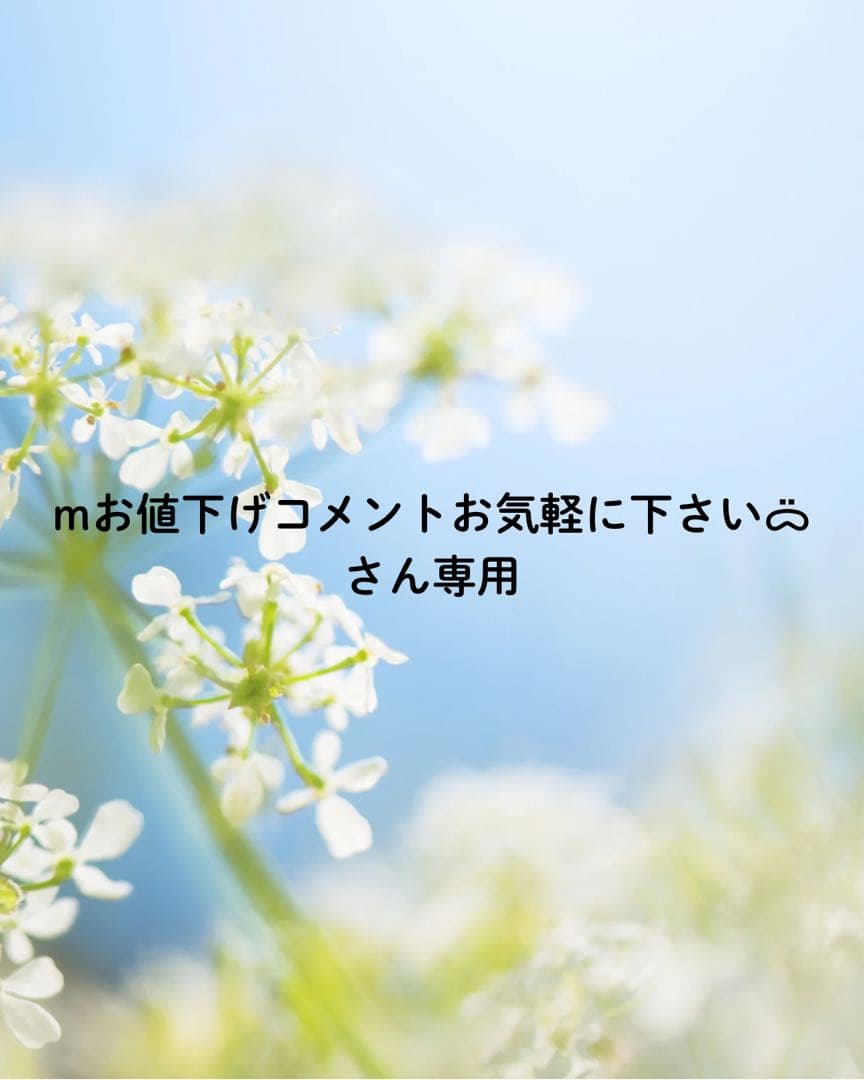 mお値下げコメントお気軽に下さいᯅ̈さん専用 - メルカリ