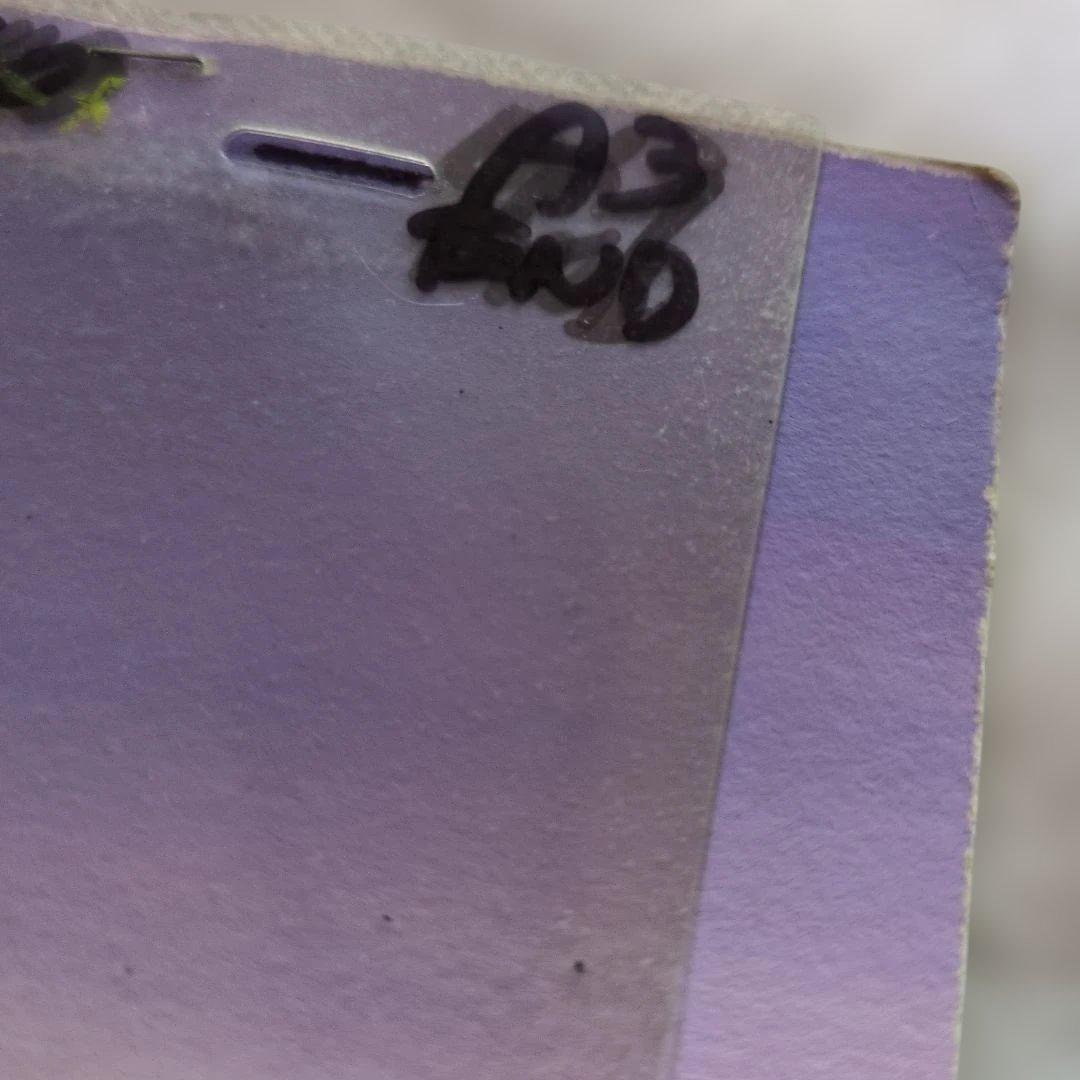 昭和 ❤️Moomin❤️ムーミン セル画