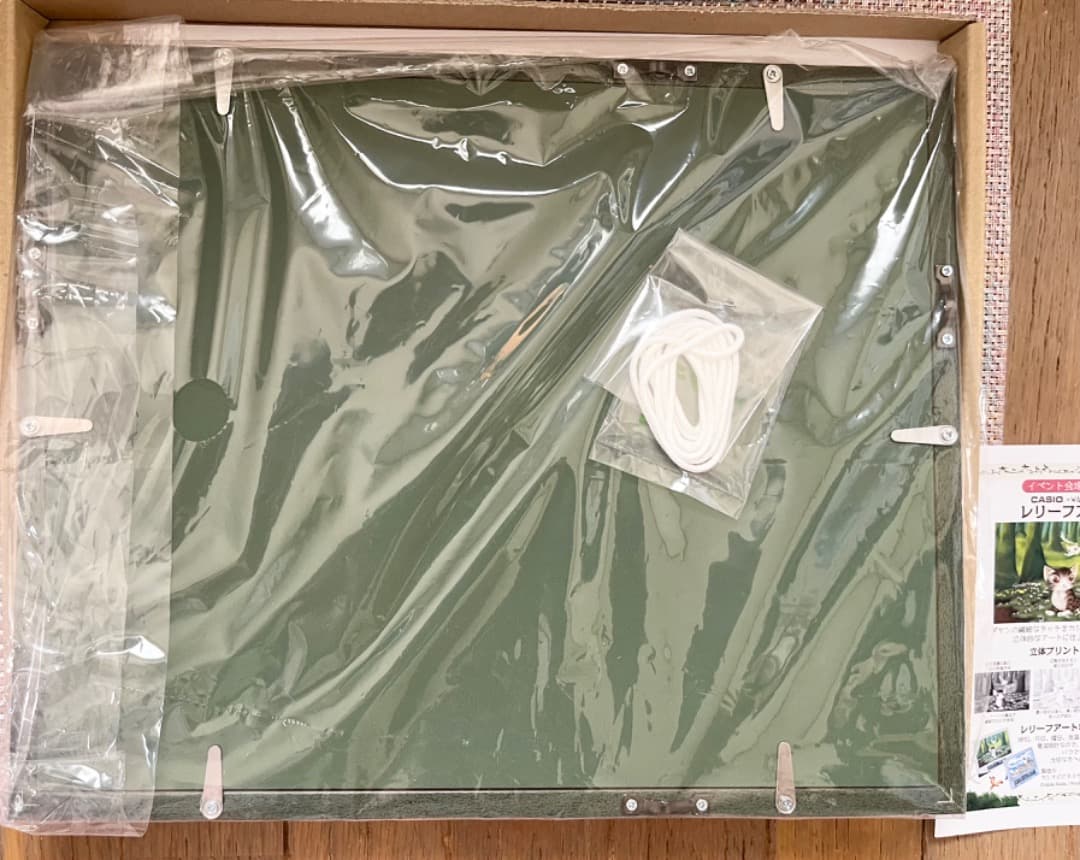 ✨新品✨わちふぃーるど限定 EVレリーフアート額装L