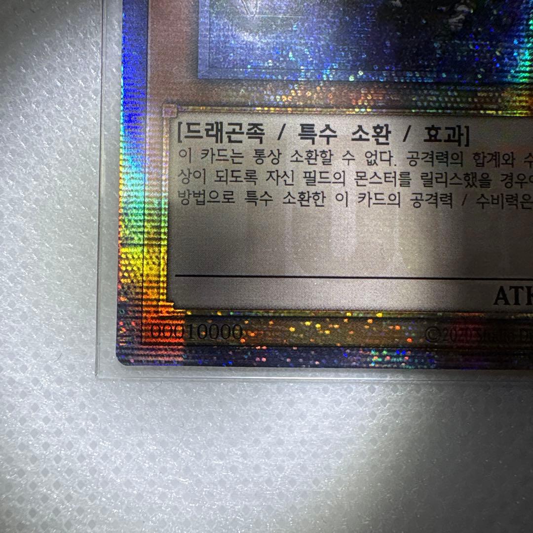 万物創世龍　韓国