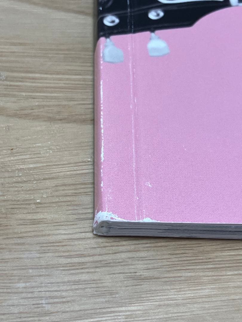 【限定】ポールマッカートニー 2013ツアータオル・パンフレット・チラシ