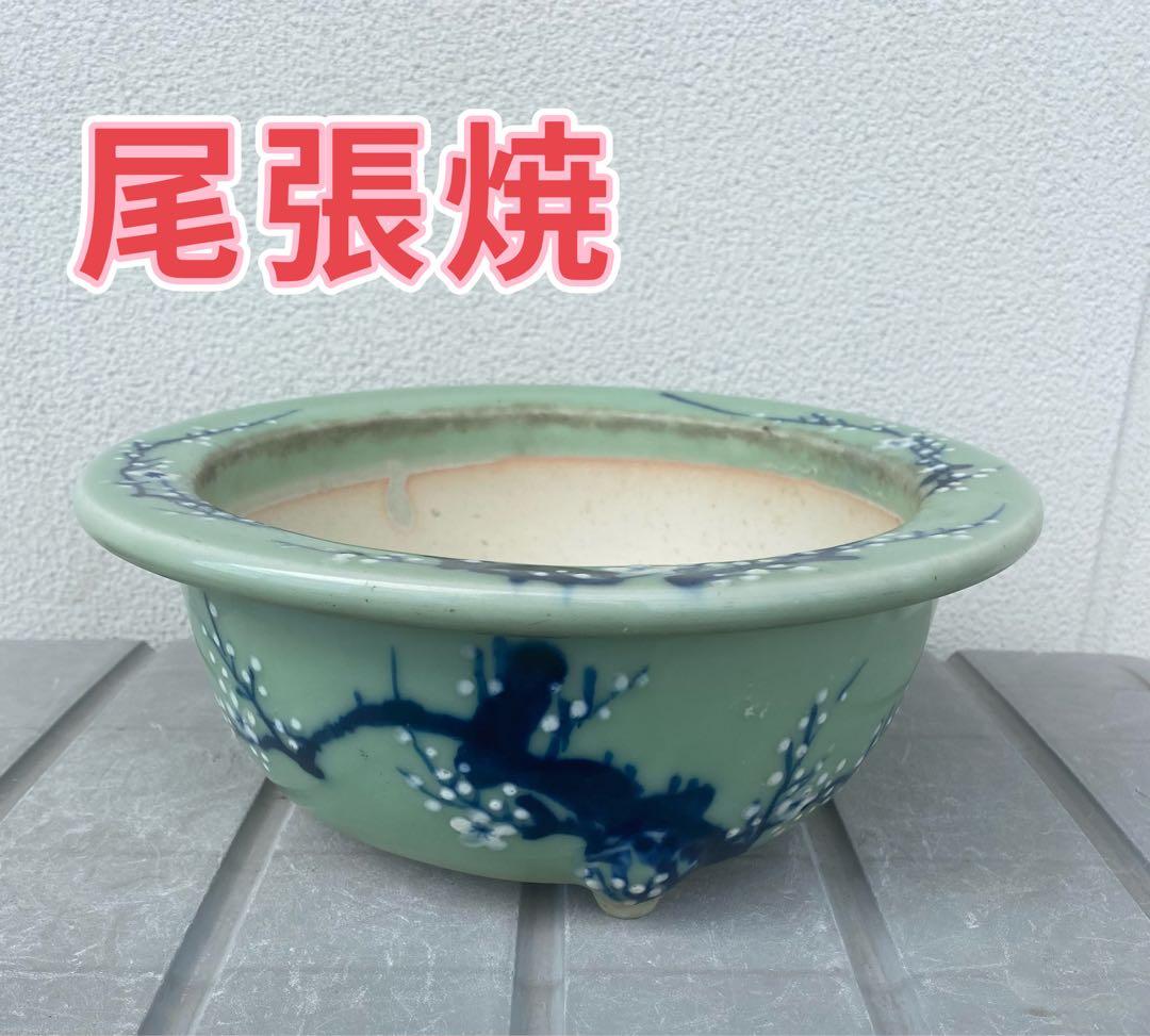 尾張焼 瀬戸焼 青磁 梅柄 丸形 盆栽鉢 盆栽 植木鉢