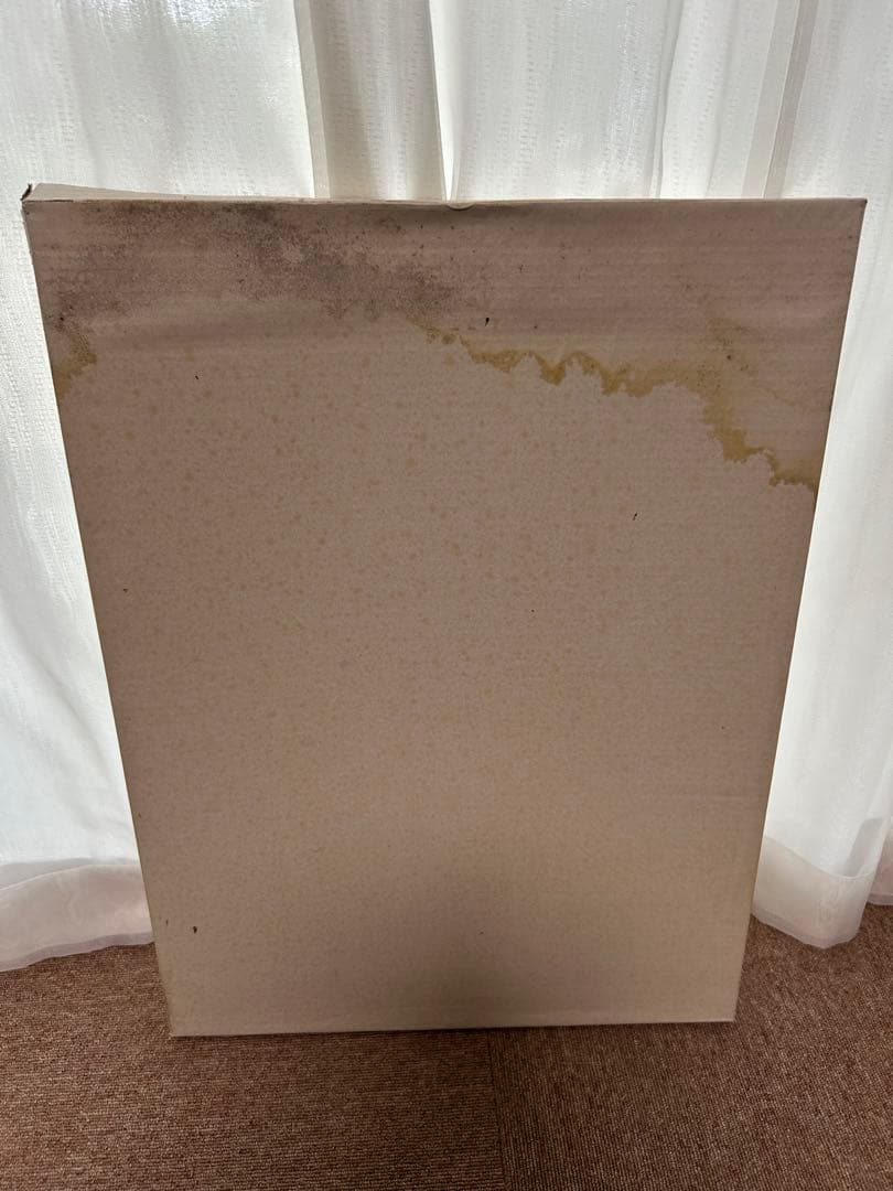 1000枚限定品 もののけ姫 シリアルナンバー入 オリジナルアートディスプレイ