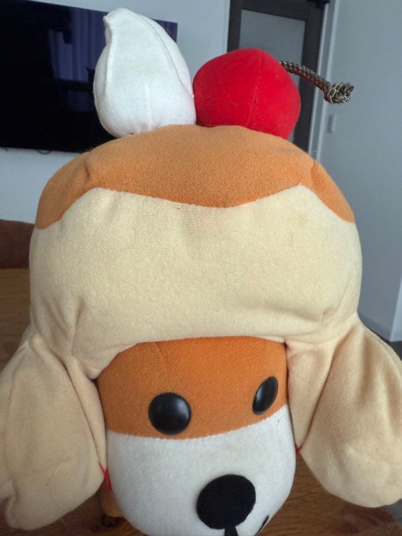 激レア アフロ犬 セブンティーンアイス