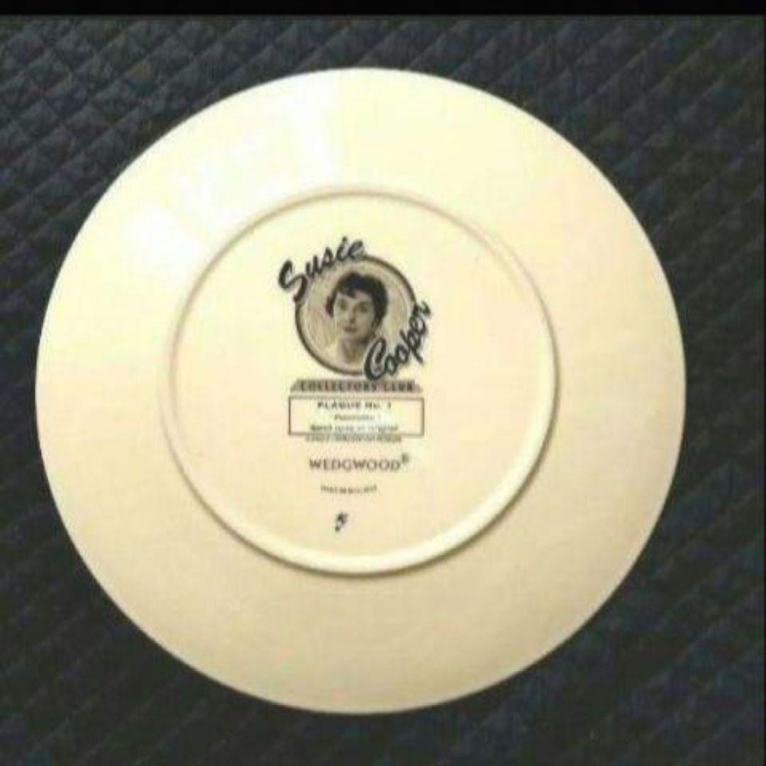 ほぼ未使用、スージークーパー、コレクターズクラブ「パノラマ」直径